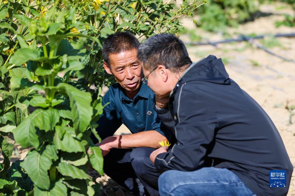 游戏开发大亨捕鱼